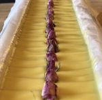 Gül sabunu - Görsel 3